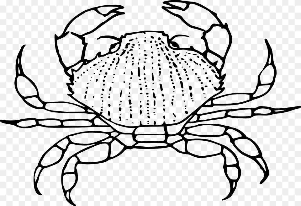 Crab Black And White Clipart, Food, Seafood, Animal, Invertebrate Free Transparent Png