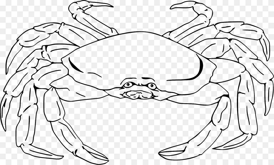 Crab Black And White Clipart, Food, Seafood, Animal, Invertebrate Free Png