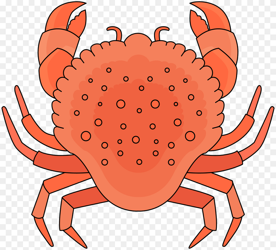 Crab Clipart, Animal, Food, Invertebrate, Sea Life Free Png