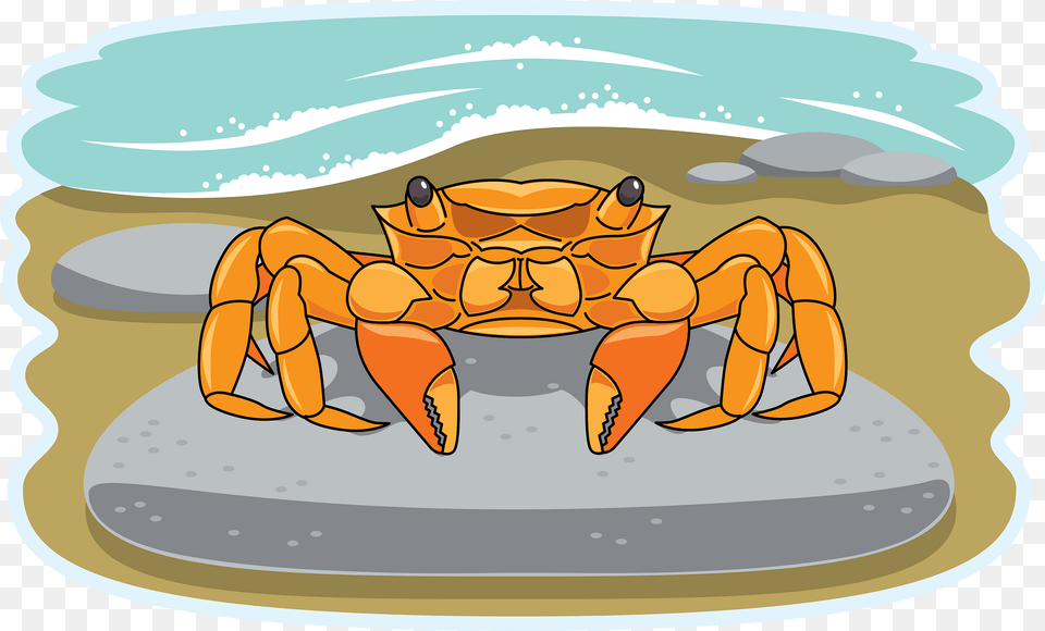 Crab Clipart, Food, Seafood, Animal, Invertebrate Free Transparent Png