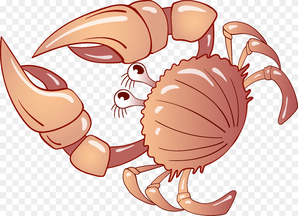 Crab Clipart, Seafood, Food, Sea Life, Animal Free Png Download