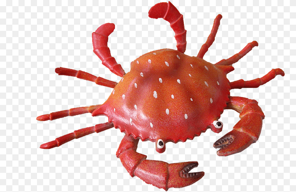 Crab Clipart Background Cangrejo De Mar, Food, Seafood, Animal, Invertebrate Free Png Download