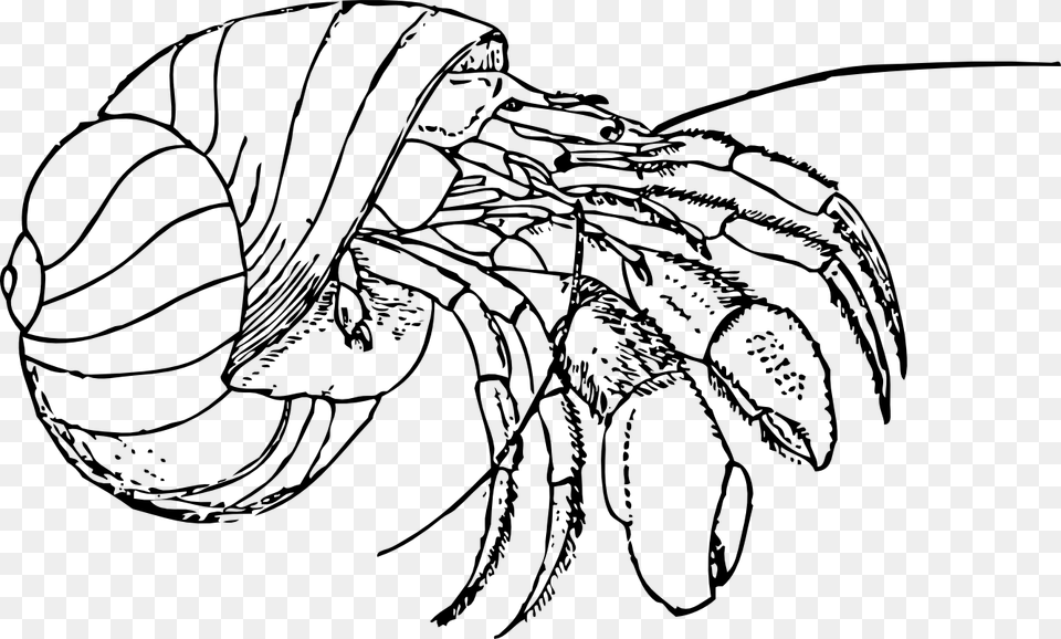 Crab Clipart Black And White, Art, Drawing, Food, Seafood Free Transparent Png