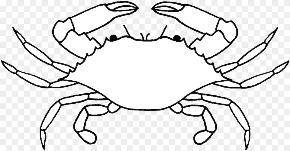 Crab Clipart Colored Blue Crab Drawing, Animal, Food, Invertebrate, Sea Life Free Transparent Png
