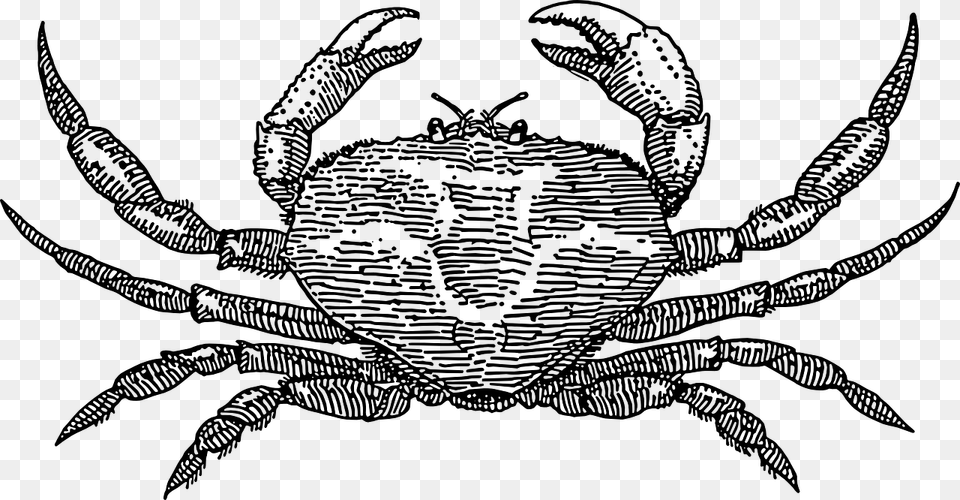 Crab Crab Black And White, Gray Free Png