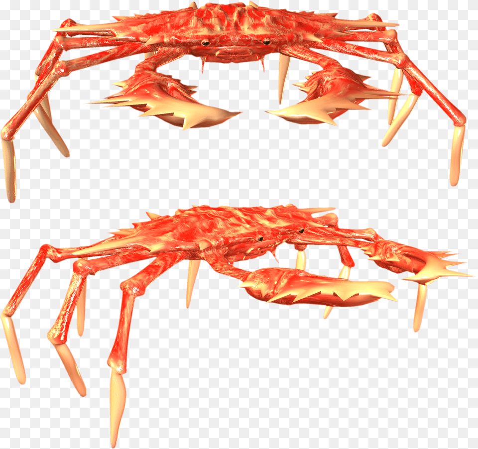 Crab Crabs, Food, Seafood, Animal, Invertebrate Free Transparent Png