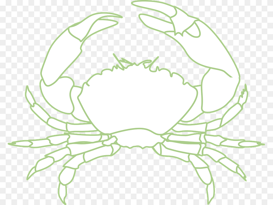 Crab Crustacean Sea Life Lobster Crayfish Crawfish Crab Black And White, Food, Seafood, Animal, Invertebrate Png