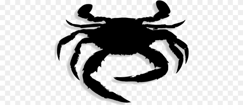 Crab Drawing Freshwater Crab, Food, Seafood, Animal, Invertebrate Free Png Download