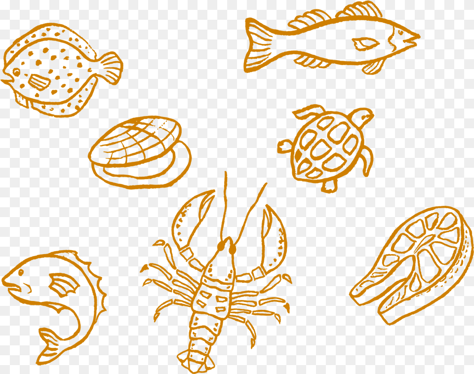 Crab Food Illustration Chalk Food Chalk Art, Animal, Reptile, Sea Life, Turtle Free Png