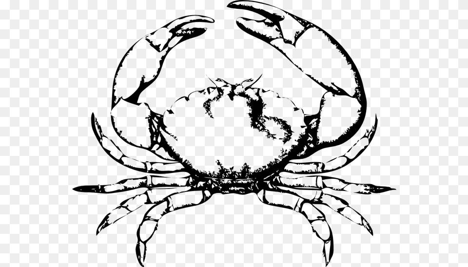 Crab Frames Illustrations Hd Black And White Crab, Seafood, Food, Sea Life, Invertebrate Png Image