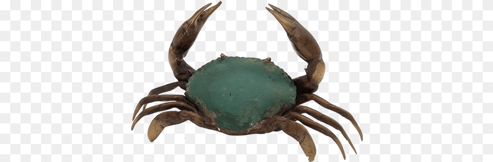 Crab Medium Chesapeake Blue Crab, Animal, Food, Invertebrate, Sea Life Free Png