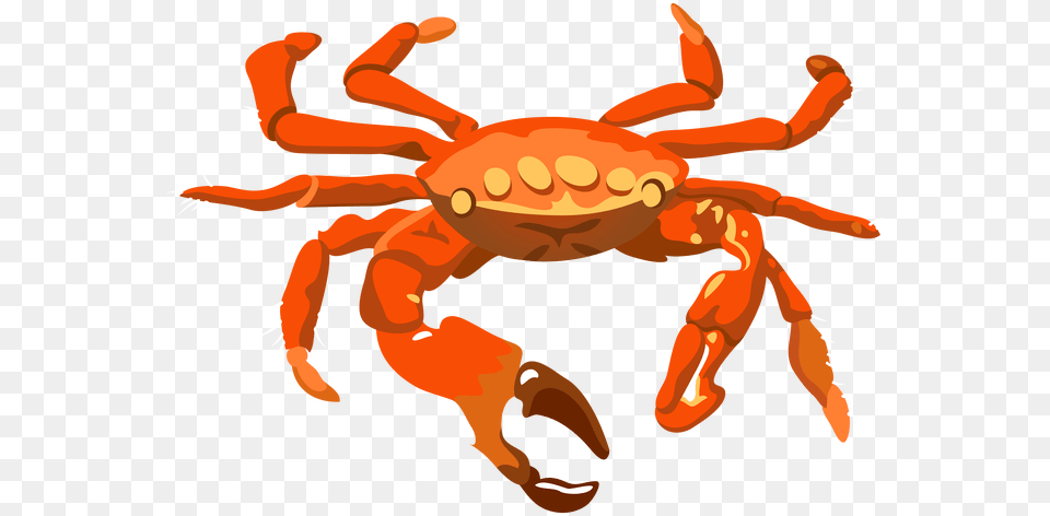 Crab Pictures Clip Art Best For Food Transparent Background Crab Transparent, Animal, Invertebrate, Sea Life, Seafood Png Image