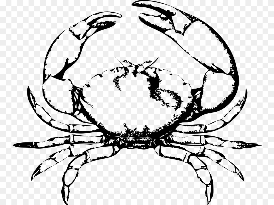 Crab Pinchers Claws Ocean Crustacean Wildlife Crab Clip Art Free Transparent Png