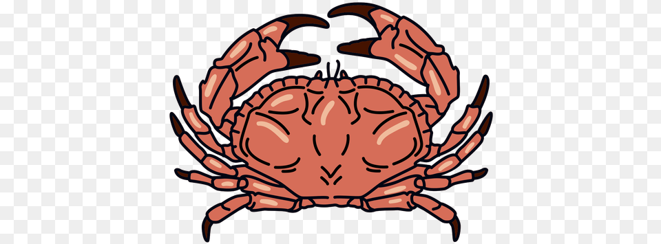 Crab Stroke Ocean Animal U0026 Svg Vector File Dungeness Crab, Sea Life, Invertebrate, Food, Seafood Free Transparent Png