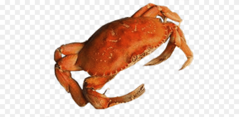 Crab Background, Animal, Food, Invertebrate, Sea Life Free Transparent Png