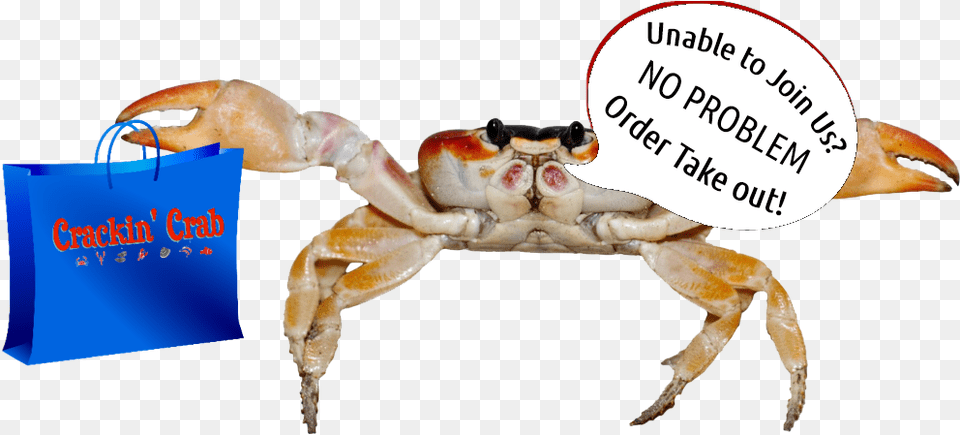 Crabnew High Res Crab, Food, Seafood, Animal, Invertebrate Png Image