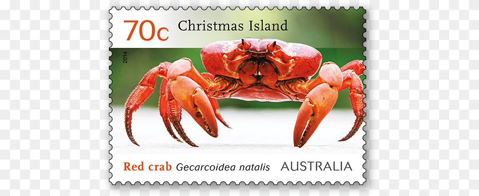 Crabs, Food, Seafood, Animal, Invertebrate Png Image