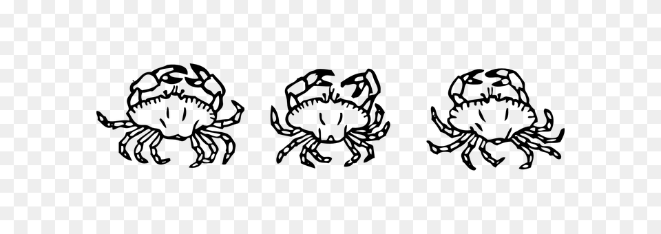 Crabs Gray Png