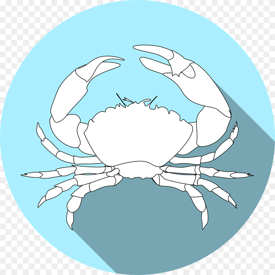 Crabs, Food, Seafood, Animal, Crab Png Image