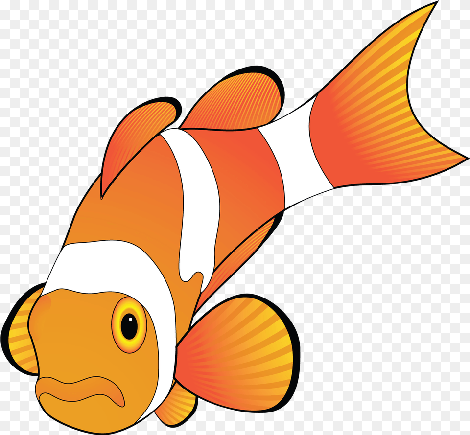 Crabs Clipart Clown Fish Microsoft Office Clipart Animals, Amphiprion, Animal, Sea Life, Shark Free Png