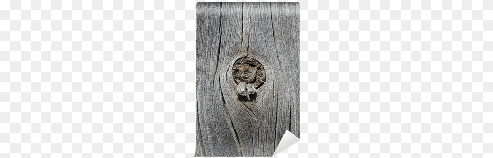 Cracked Aged Wooden Board With Wall Mural Drawing, Wood, Hole, Plant, Tree Png Image