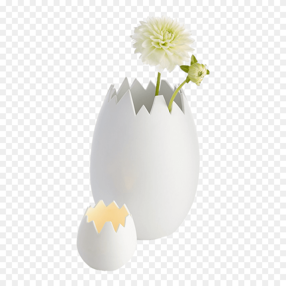 Cracked Eggshell Vase, Jar, Plant, Potted Plant, Pottery Png Image