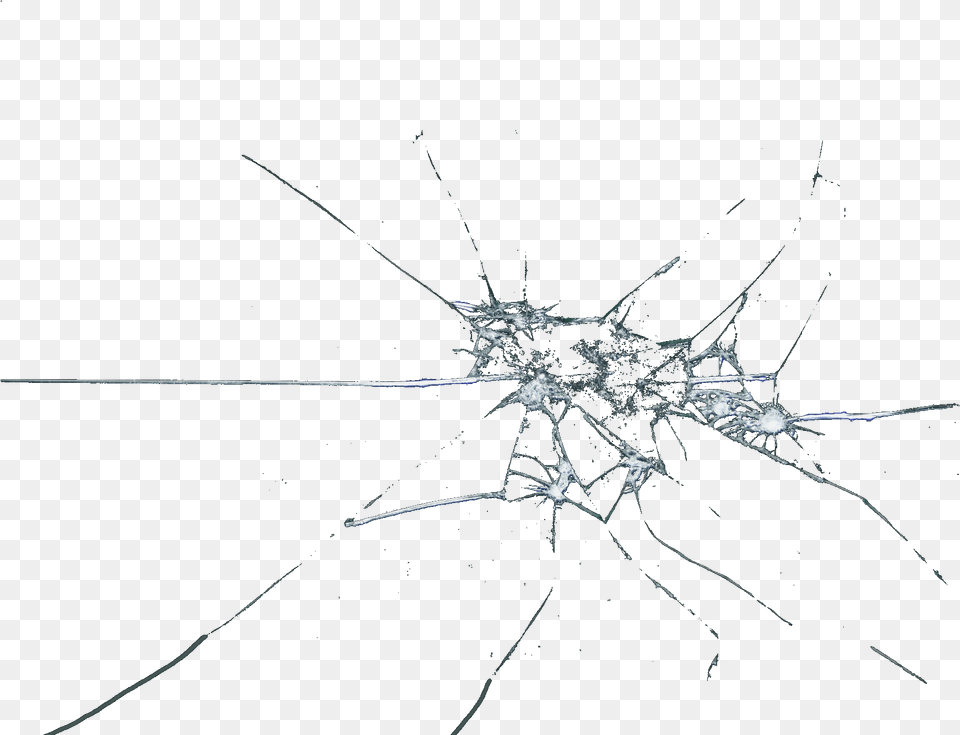 Cracked Glass Transparent 5 Image Line Art, Animal, Invertebrate, Spider, Insect Free Png
