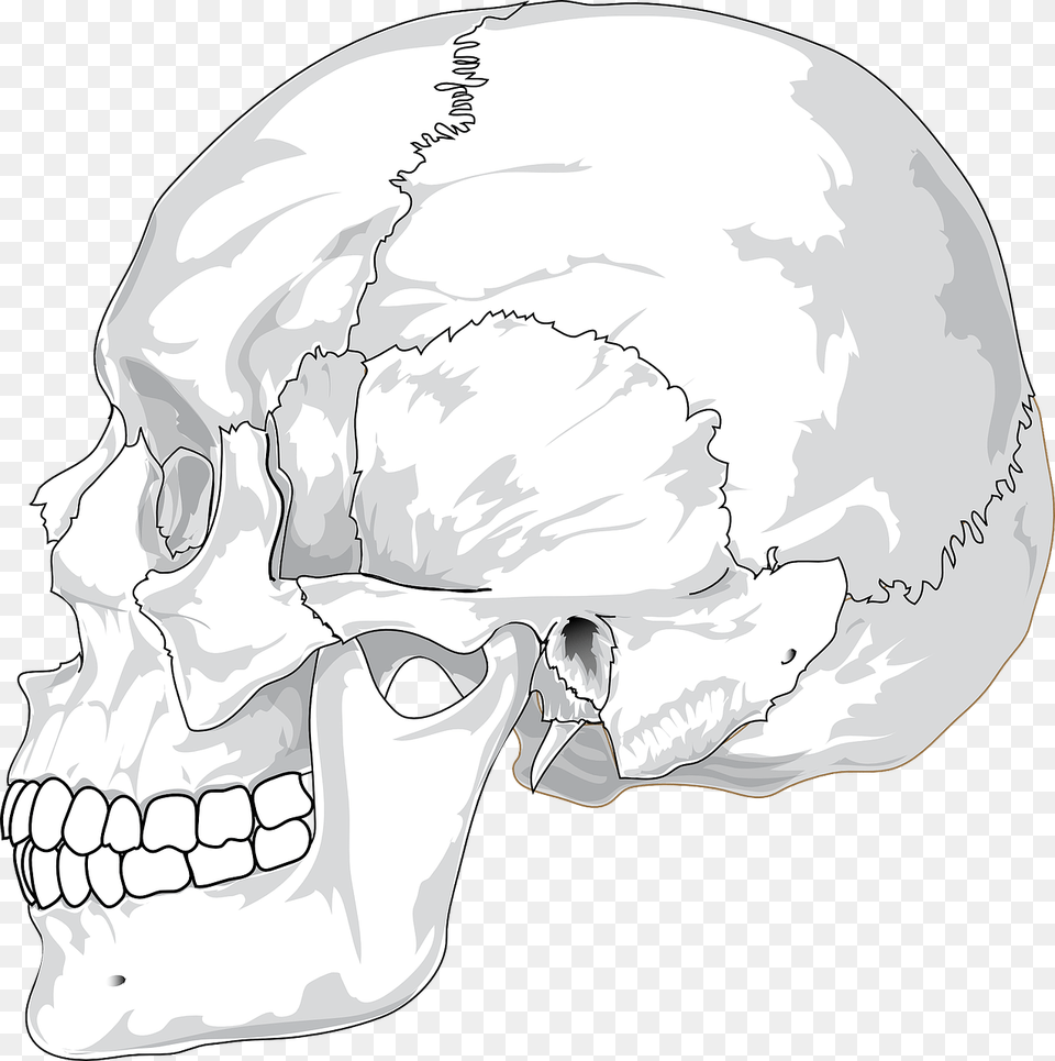 Cracked Hole, Art, Drawing, Head, Person Png Image