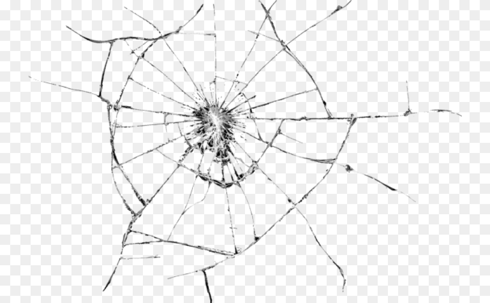 Cracked Screen Transparent Background Cracked Screen, Spider Web, Animal, Invertebrate, Spider Free Png
