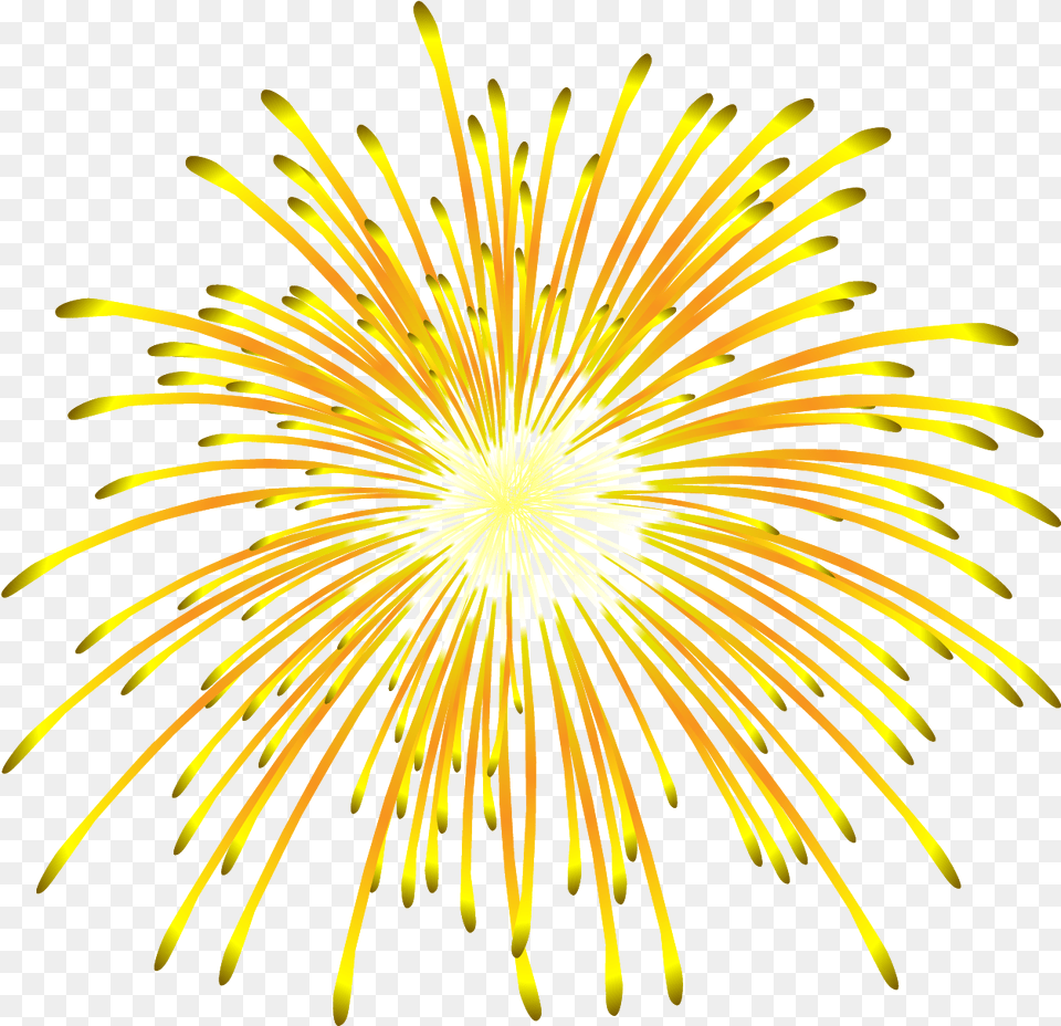 Crackers In Fireqworks, Fireworks, Plant Free Transparent Png