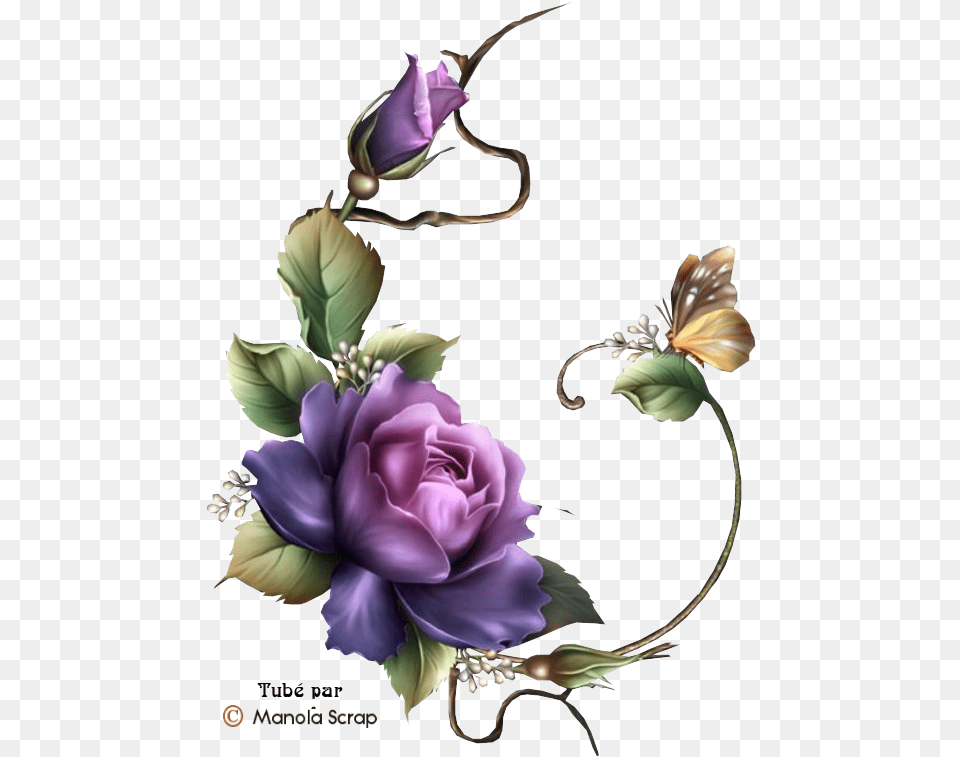 Craft Desenhos De Flores Roxas, Rose, Purple, Plant, Pattern Free Png Download