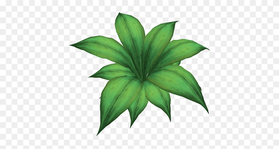 Craftnorrath Landmark Jungle Shrub, Leaf, Plant, Green, Herbal Png
