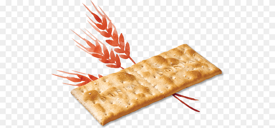 Crakers Doriano Dorati Come Il Grano Crackers Doria, Bread, Cracker, Food, Pizza Png