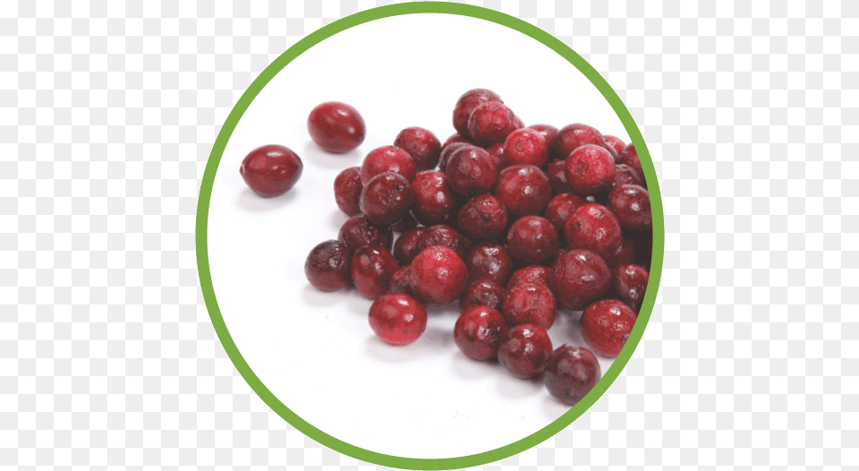 Cranberries A Native Fruit Red Circle Fruit, Food, Plant, Produce, Plate Png