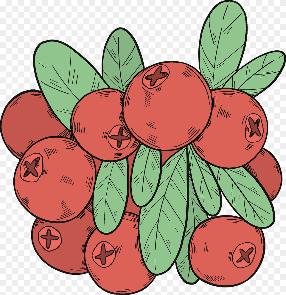 Cranberries Clipart, Food, Fruit, Plant, Produce Png