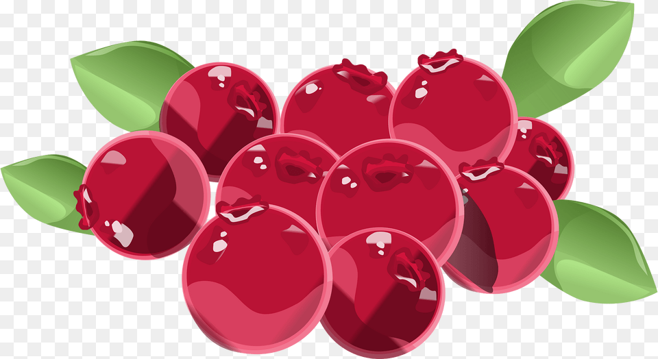 Cranberries Clipart, Food, Fruit, Plant, Produce Png Image