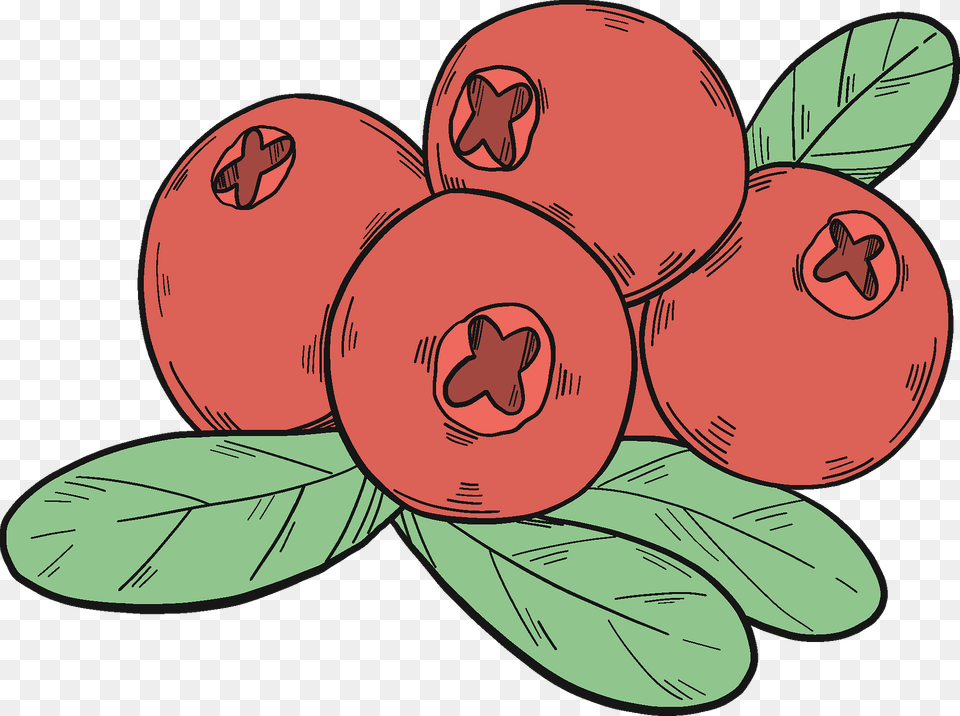 Cranberries Clipart, Fruit, Produce, Food, Berry Png