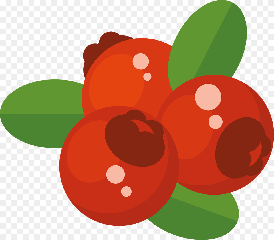 Cranberries Clipart, Food, Fruit, Plant, Produce Png Image