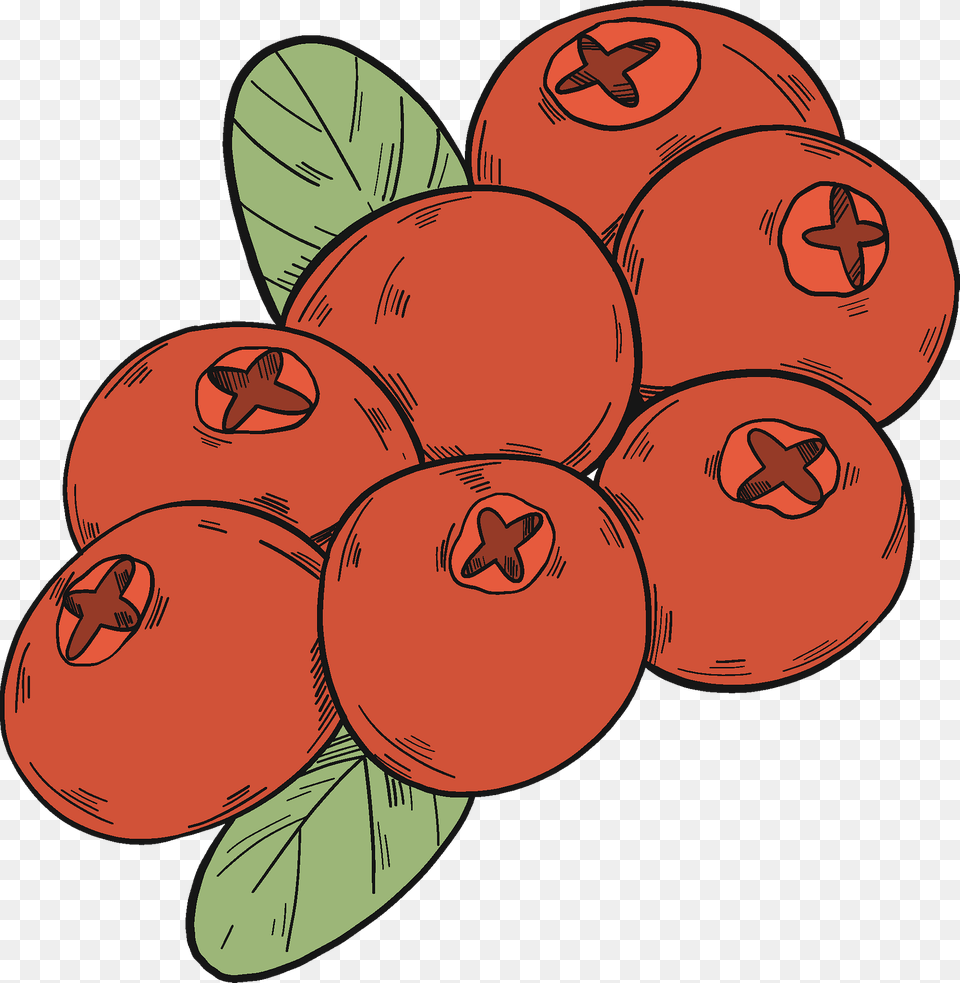 Cranberries Clipart, Food, Fruit, Plant, Produce Free Transparent Png