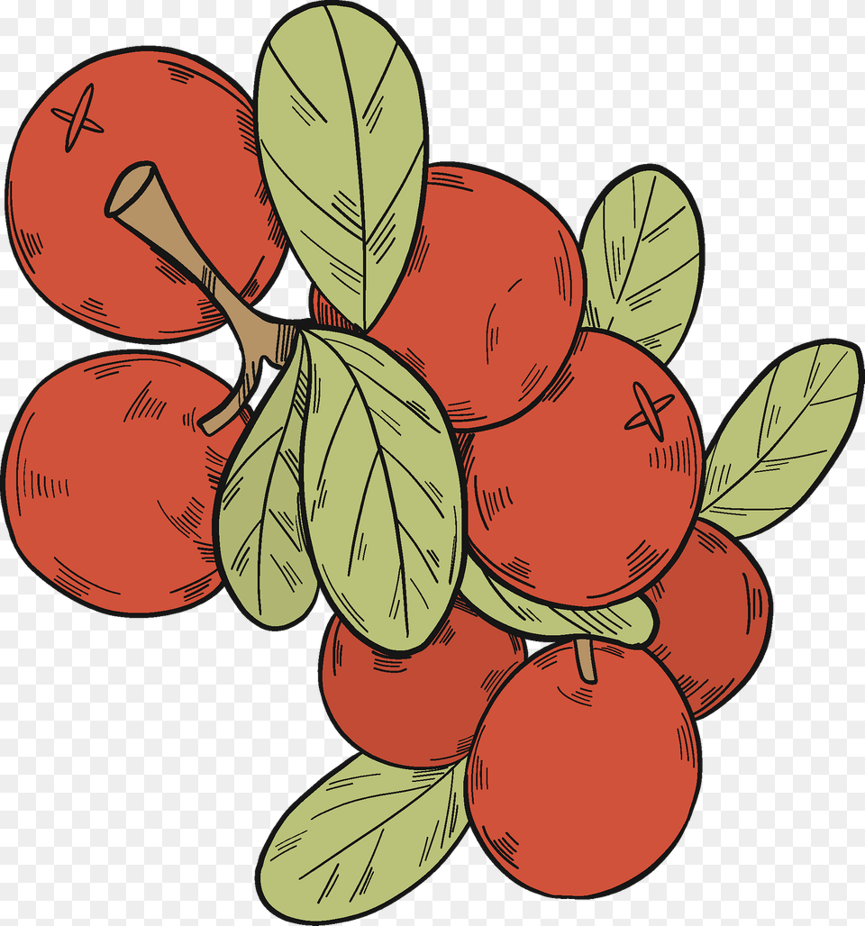 Cranberries Clipart, Food, Fruit, Plant, Produce Free Png Download