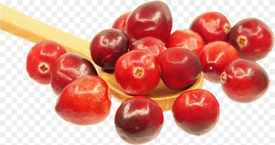 Cranberries In A Spoon Cranberry Detox Health Benefits, Food, Fruit, Plant, Produce Free Transparent Png