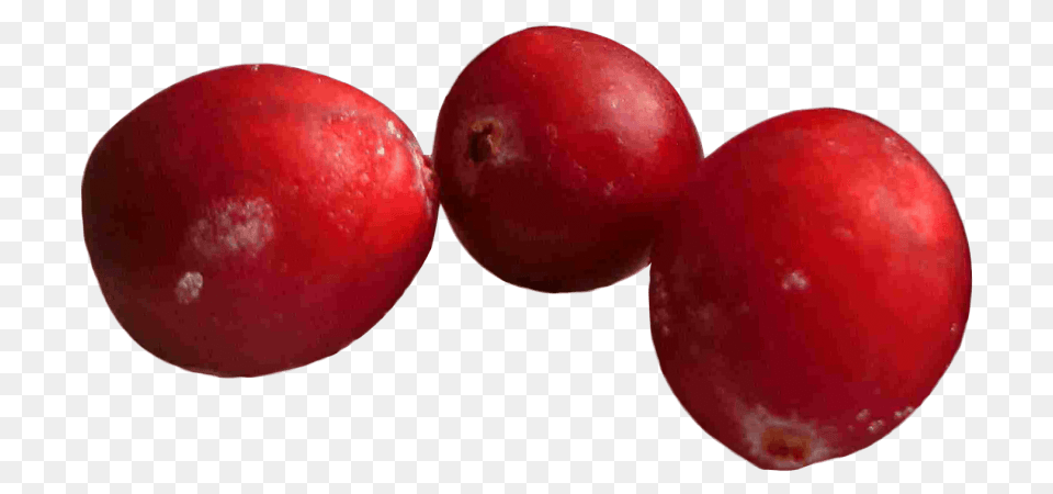 Cranberry, Food, Fruit, Plant, Plum Free Png Download