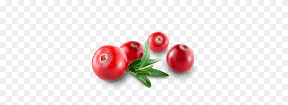 Cranberry, Food, Fruit, Plant, Produce Free Transparent Png