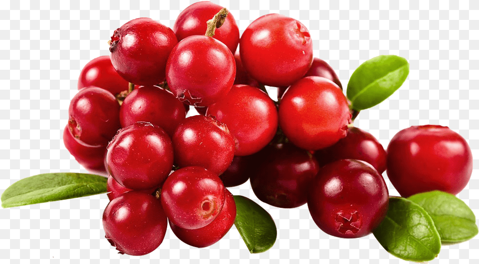 Cranberry 6 Image Cranberry, Food, Fruit, Plant, Produce Free Transparent Png