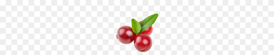 Cranberry, Food, Fruit, Plant, Produce Png Image
