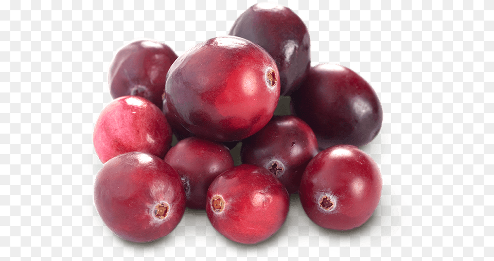 Cranberry And Blueberry Transparent, Food, Fruit, Plant, Produce Png Image