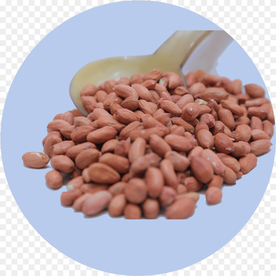 Cranberry Bean, Food, Produce, Nut, Plant Free Transparent Png