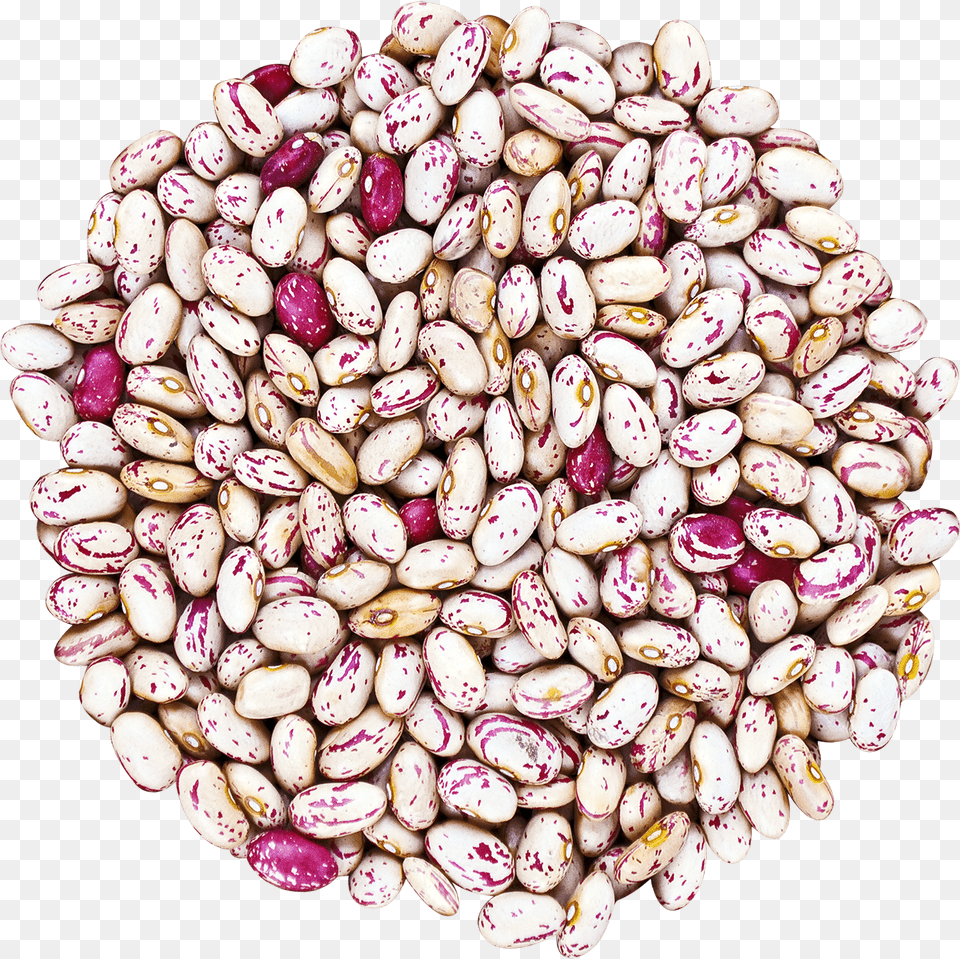 Cranberry Beans Without Bag Food To Live Cranberry Beans Borlotti 10 Pounds, Bean, Plant, Produce, Vegetable Free Transparent Png