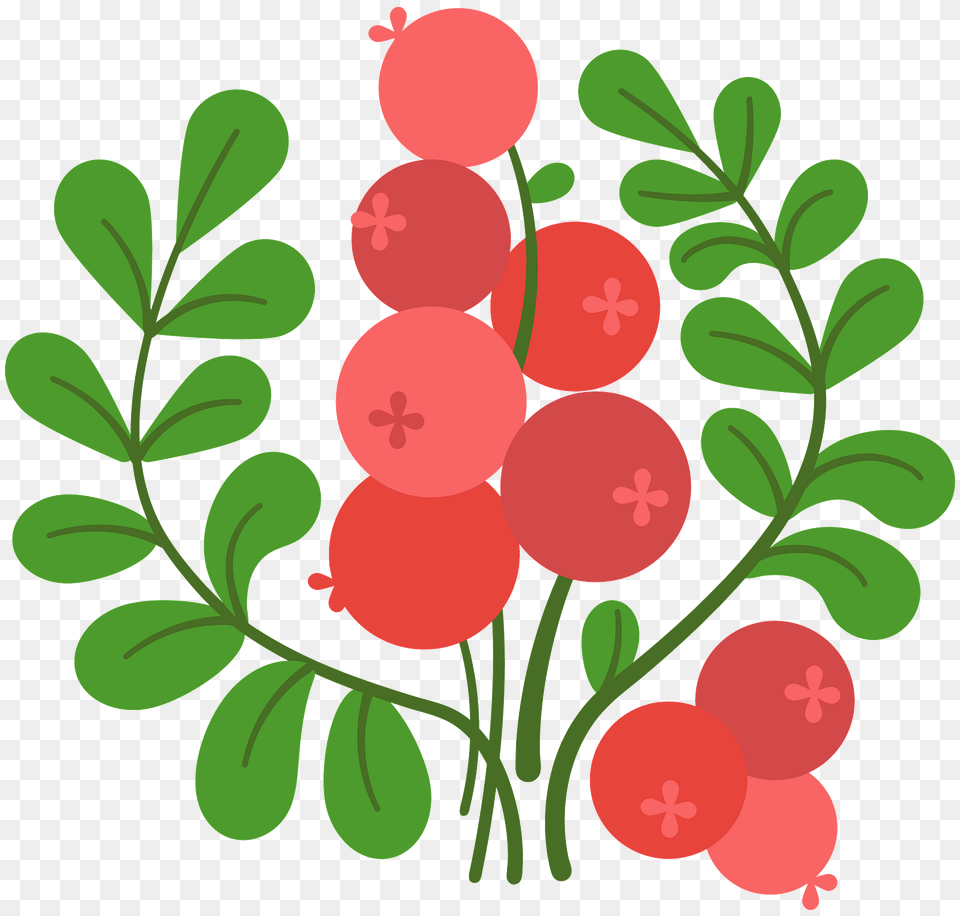 Cranberry Clipart, Art, Graphics, Floral Design, Pattern Free Transparent Png