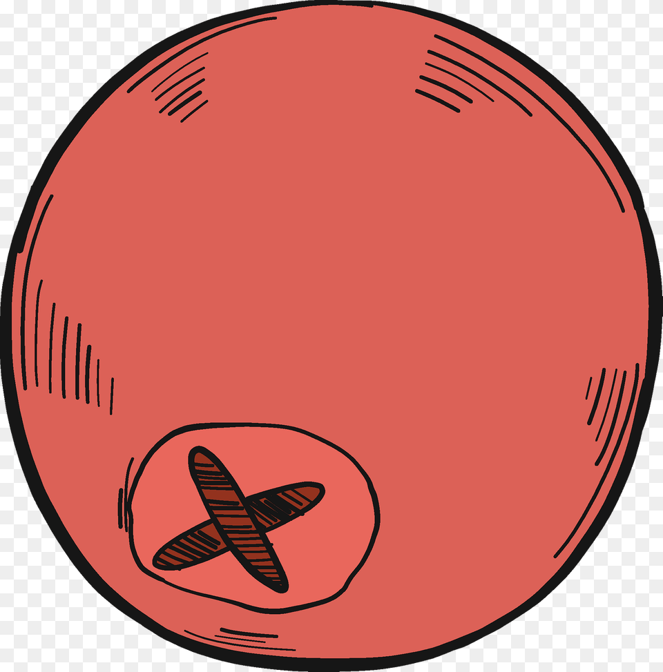 Cranberry Clipart, Sphere, Clothing, Hardhat, Helmet Png Image